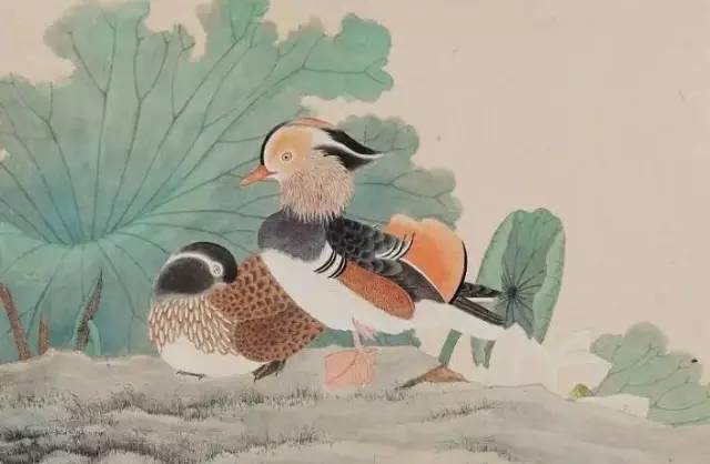 赏唯美鸳鸯国画只羡鸳鸯不羡仙