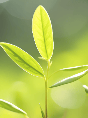 未来三天天气晴好,气温回升!