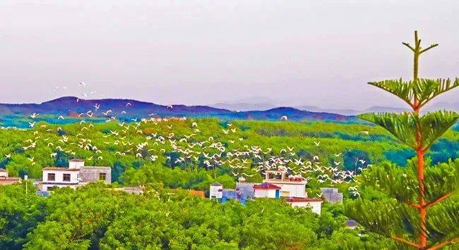 清明假期用这种方式打卡海南