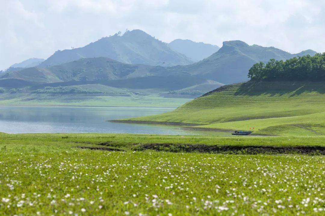 大碴子味儿之外的硬核东北你根本不知道