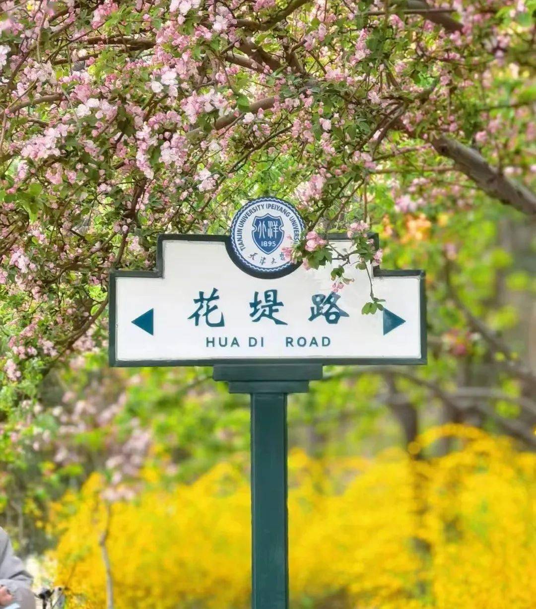 张思睿_梁绍楠_大人