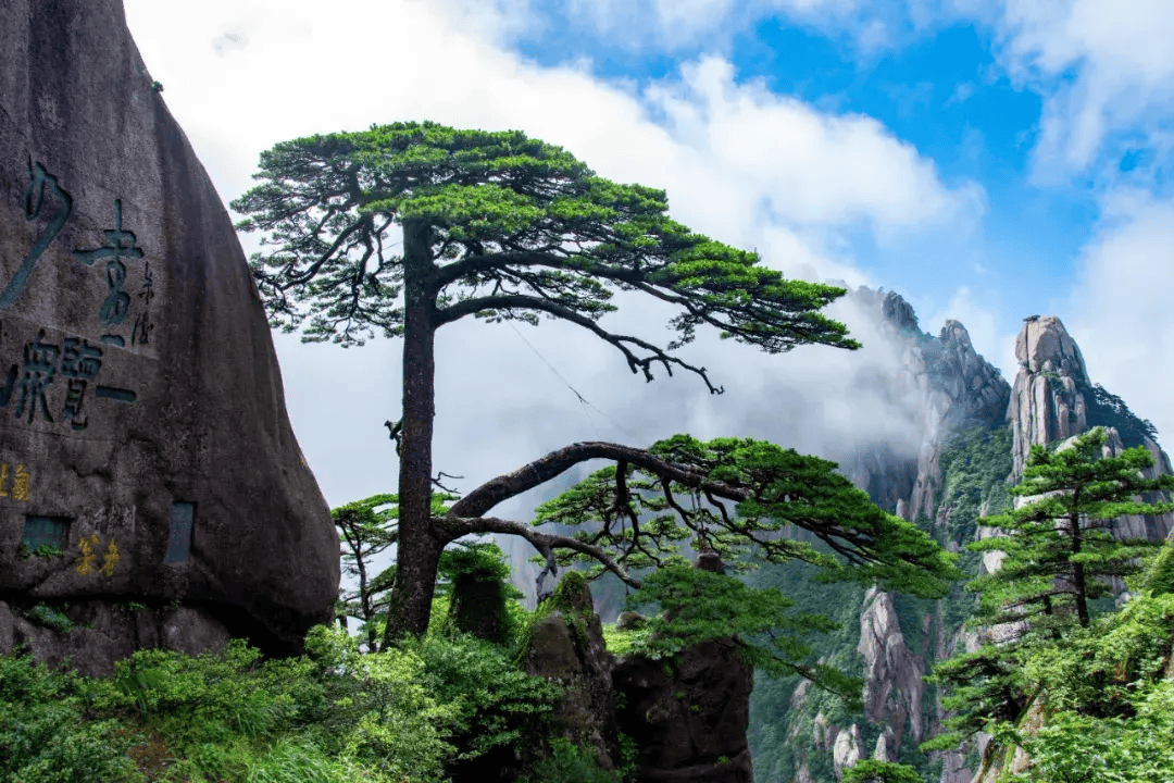 黄山的美丽景色图片