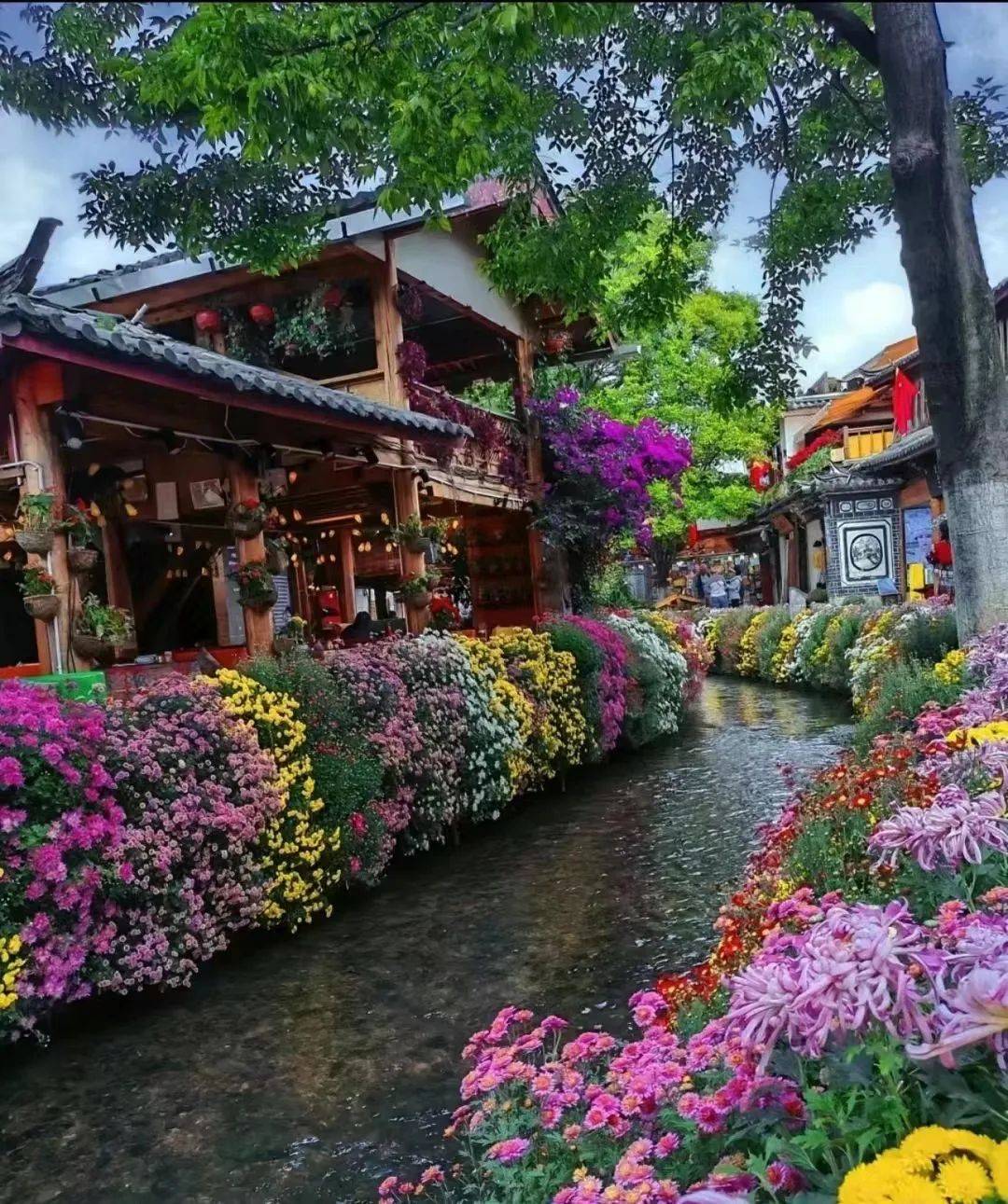 人间四月天昆明西昌双城蓝花楹元谋土林螺髻山九十九里温泉瀑布七里坝