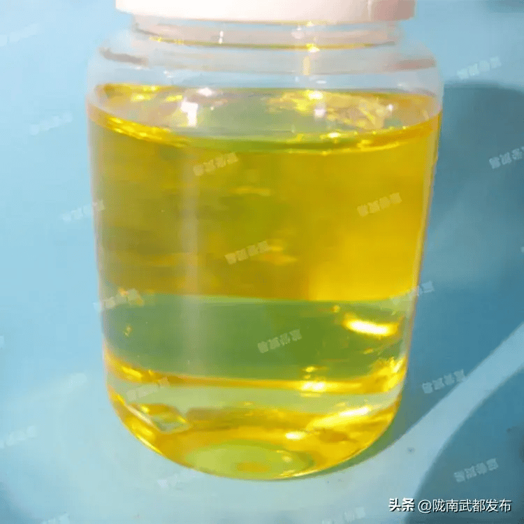中石油老员工告诉你加油要去中石油不是因为油好而是因为安全