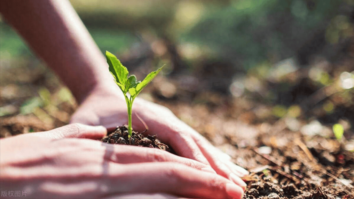 人生有意义吗？生命有意义吗？你是否陷入了虚无主义_搜狐网