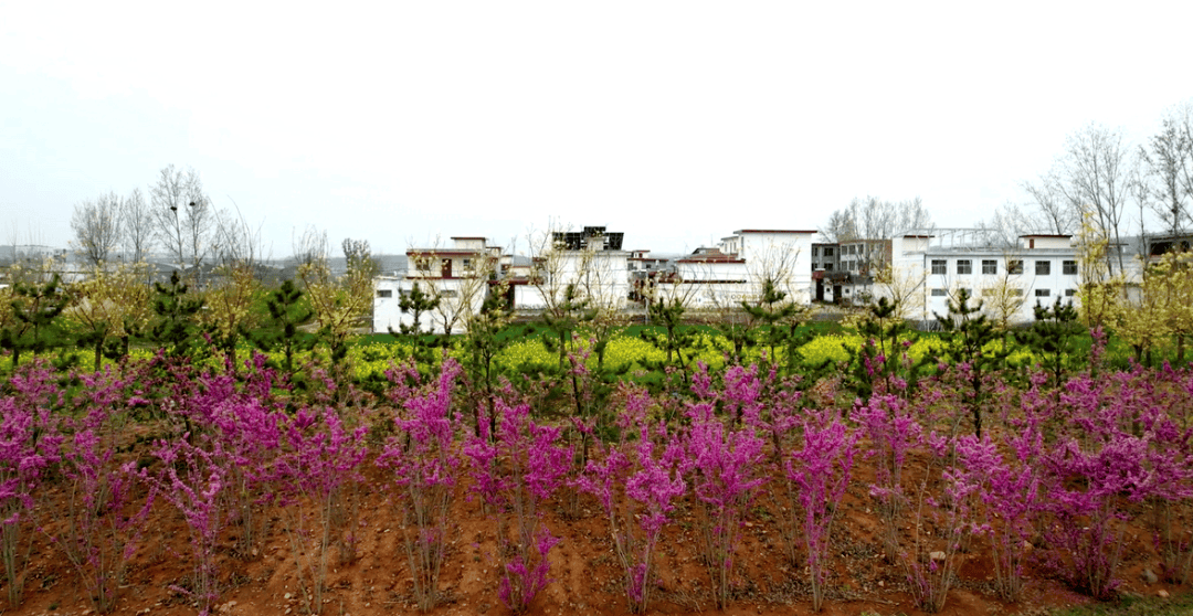 汝阳王坪乡孟村图片图片