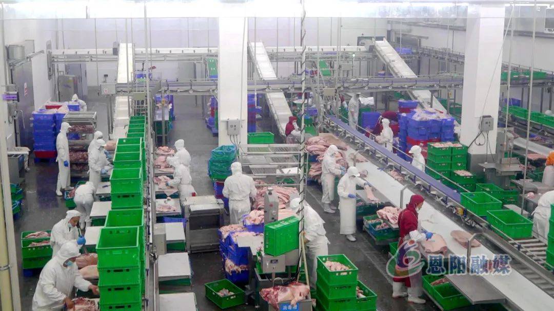 聚焦春日生产忙山东龙大100万头生猪屠宰项目全力运转