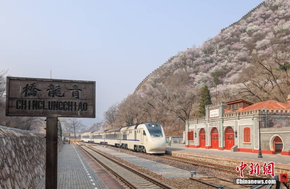4月5日,位于北京市延庆区的百年老站——青龙桥火车站山花盛开,春意