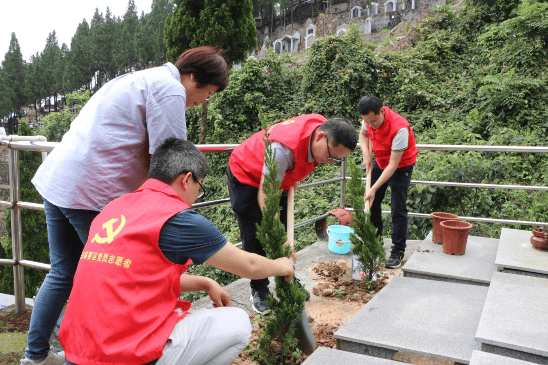 清明节,文明绿色祭祀成为肇庆市民新选择