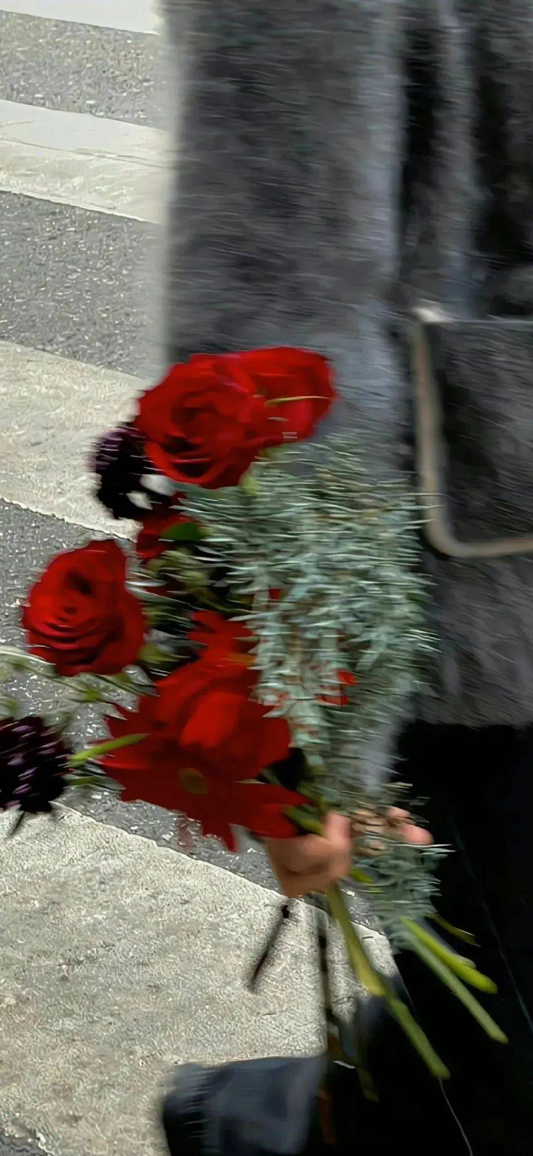 һCSGOվβЩ׼ɺע?VIPӰѿ