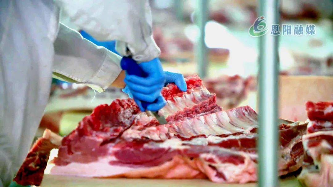 在巴中龙大肉食品有限公司的对面,占地106亩的肉制品深加工项目正在