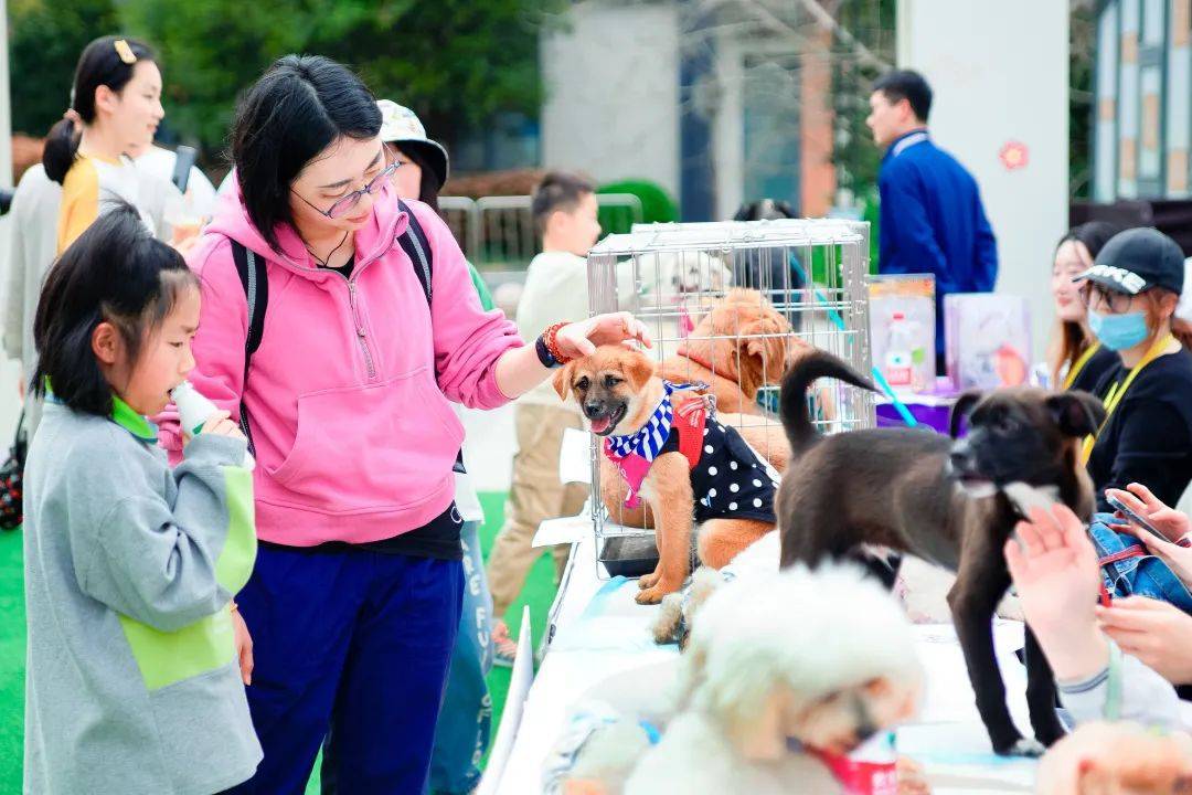 萌宠party你参加了吗?徐汇这些宠物友好商场可逛