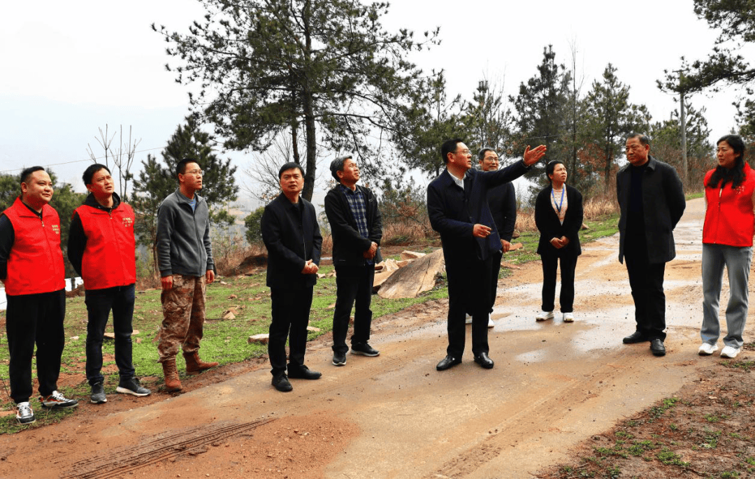 枣阳市政协:"一线协商"织密山林防火网 守护绿水青山妆_新市镇_火情