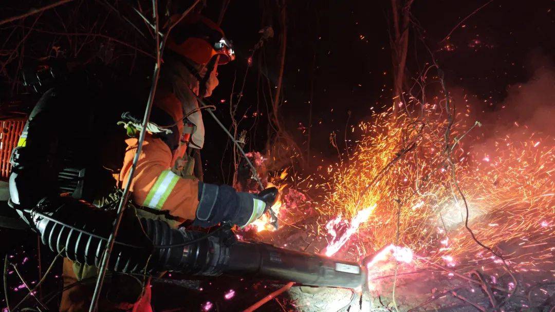 官方通报8类25起