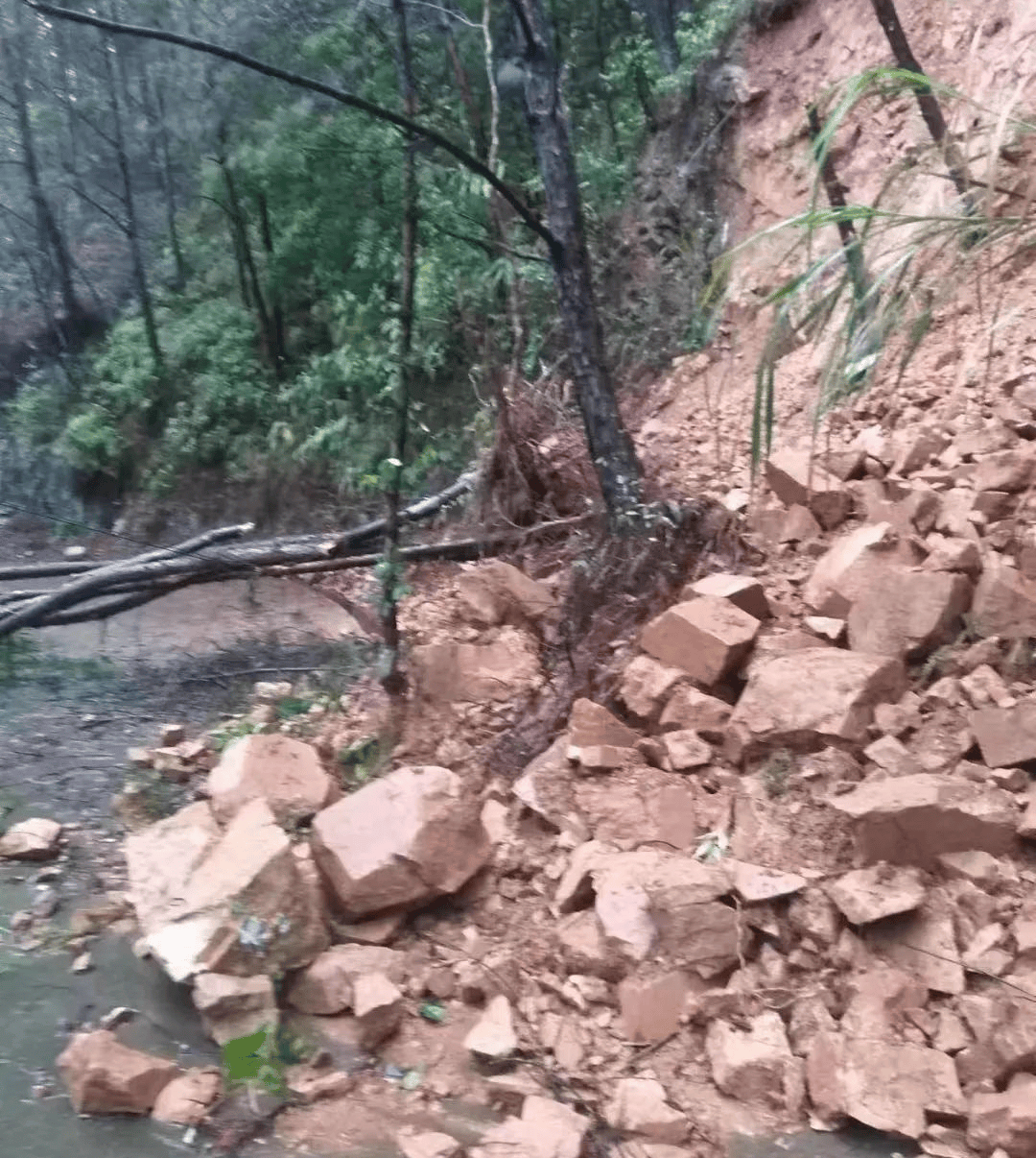 梅州一路段塌方,树木倒塌,泥石滑落._蕉岭_内容_网友