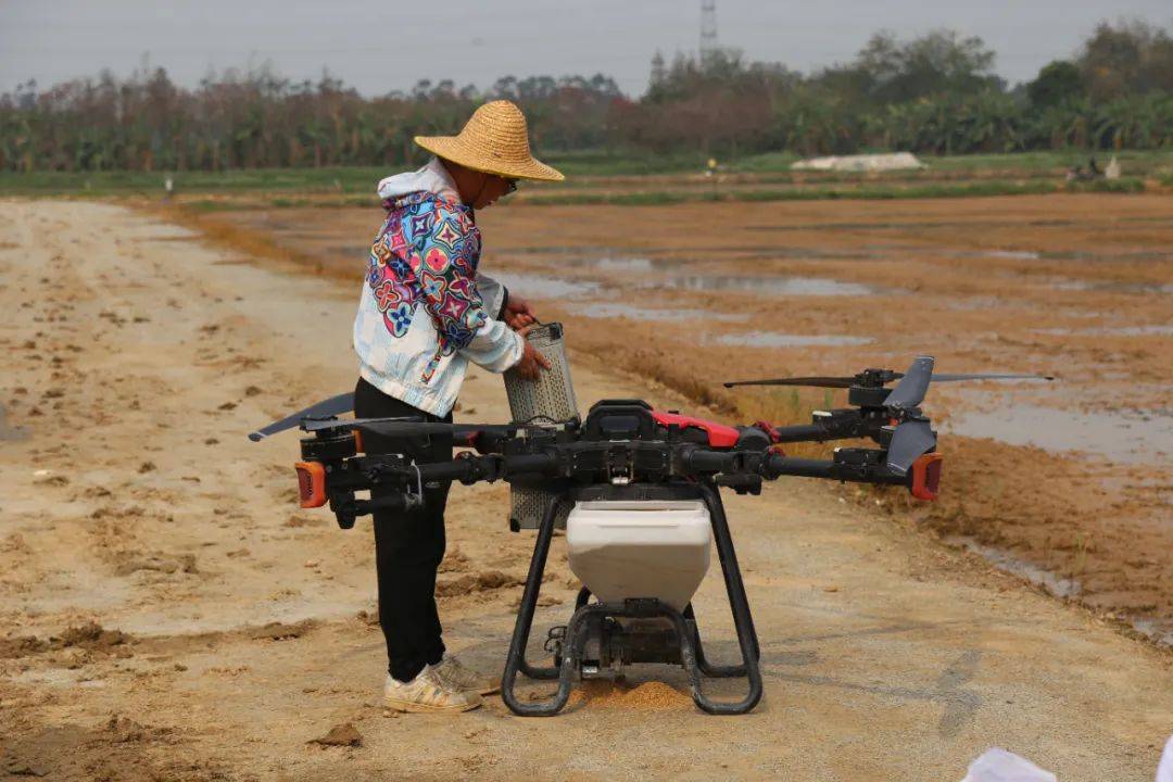 农忙好时节!无人机"飞播"为春耕添上"科技"之翼