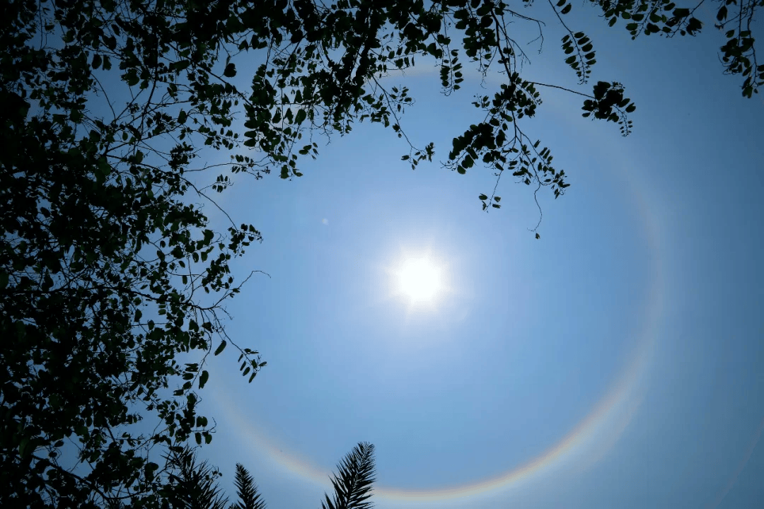 冷空气被打败,30℃高温又要"浮头"了!上林接下来→_天气_广西_气温