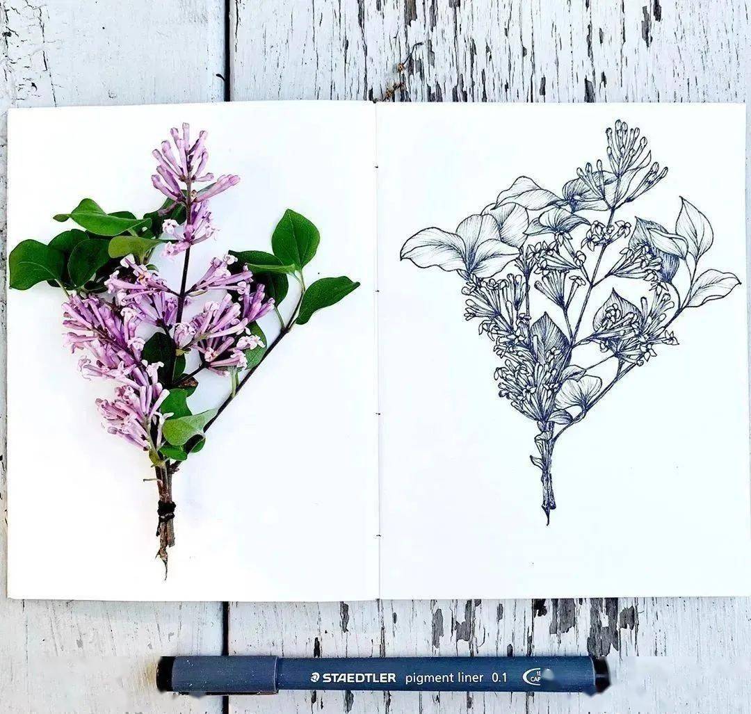 我长了一双扫描眼,还有一双复制手_动态_头像_画法