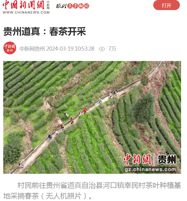 媒体看道真三月宣传集锦