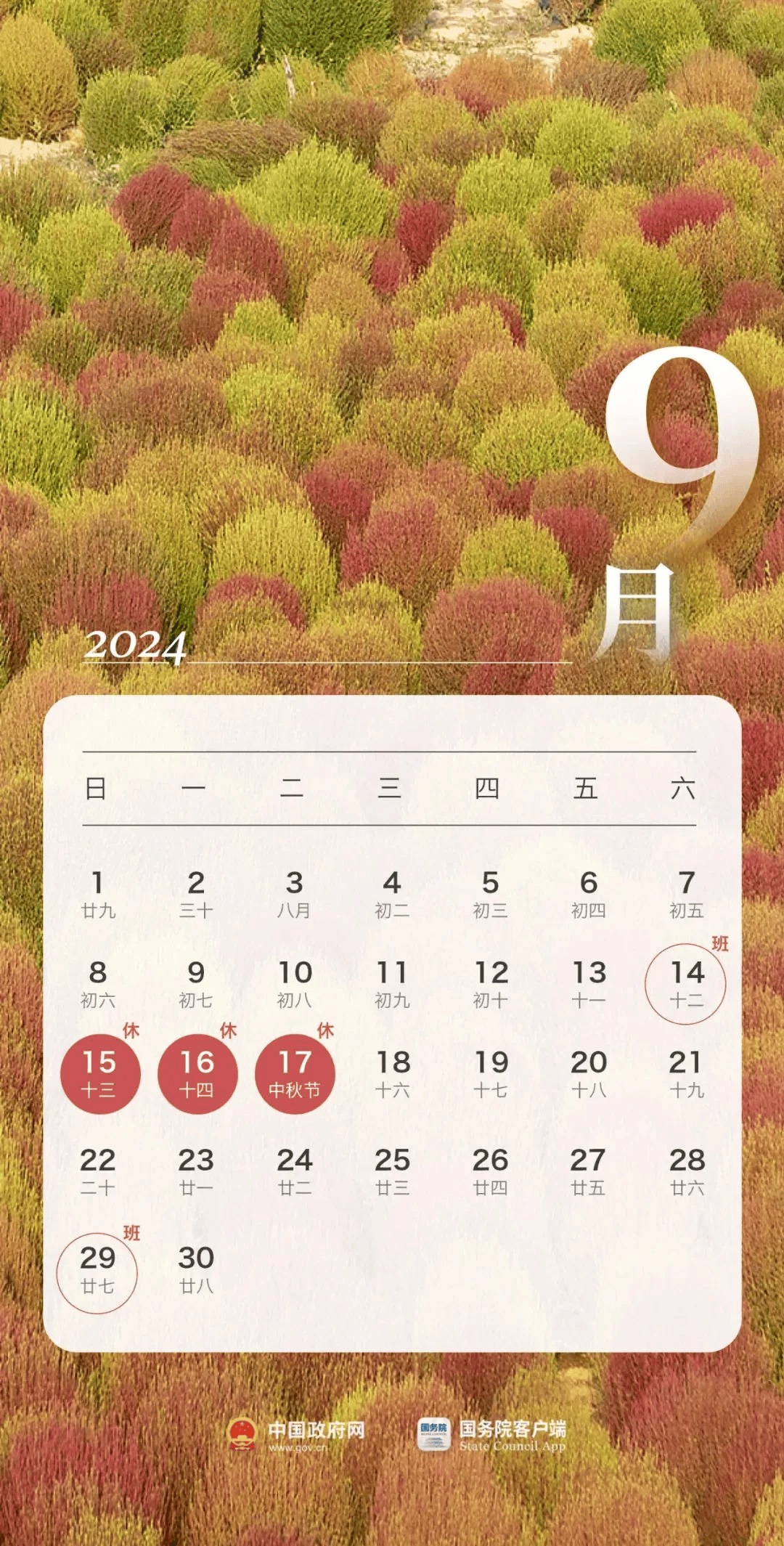 这12天,免费!_时间_车辆_工作日