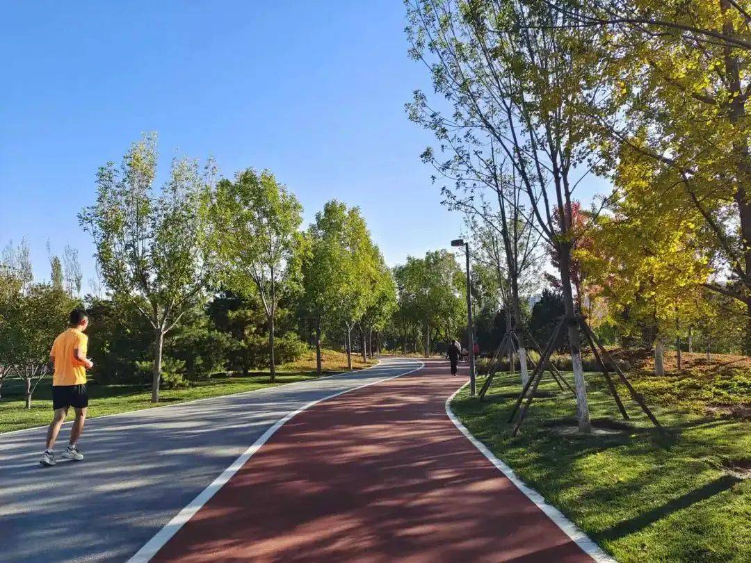 丰台区持续推进花园城市建设_花卉_公园_森林