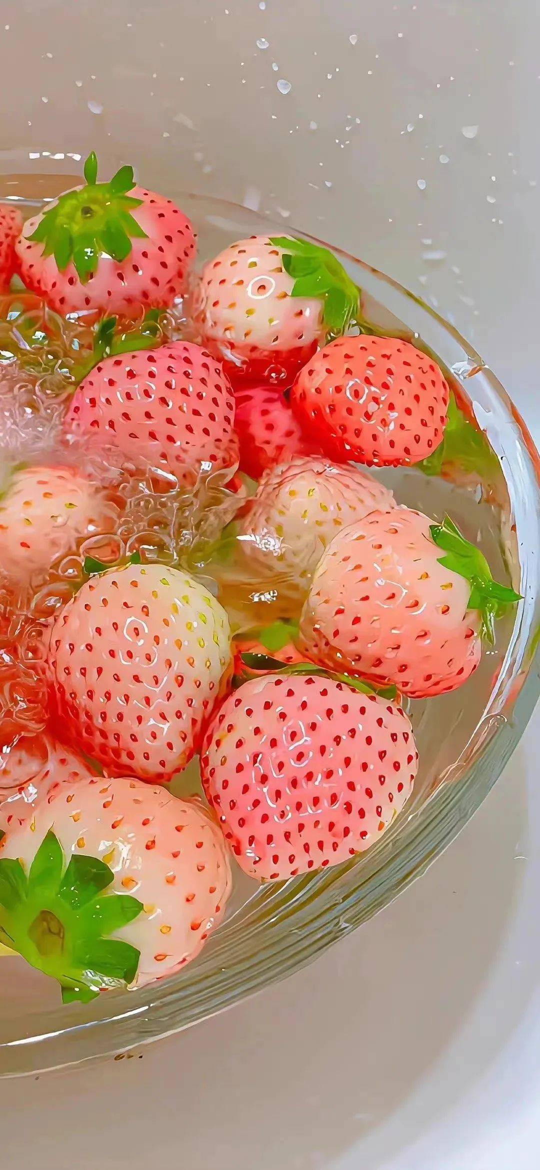 壁纸 | 高级感ins风简洁手机壁纸