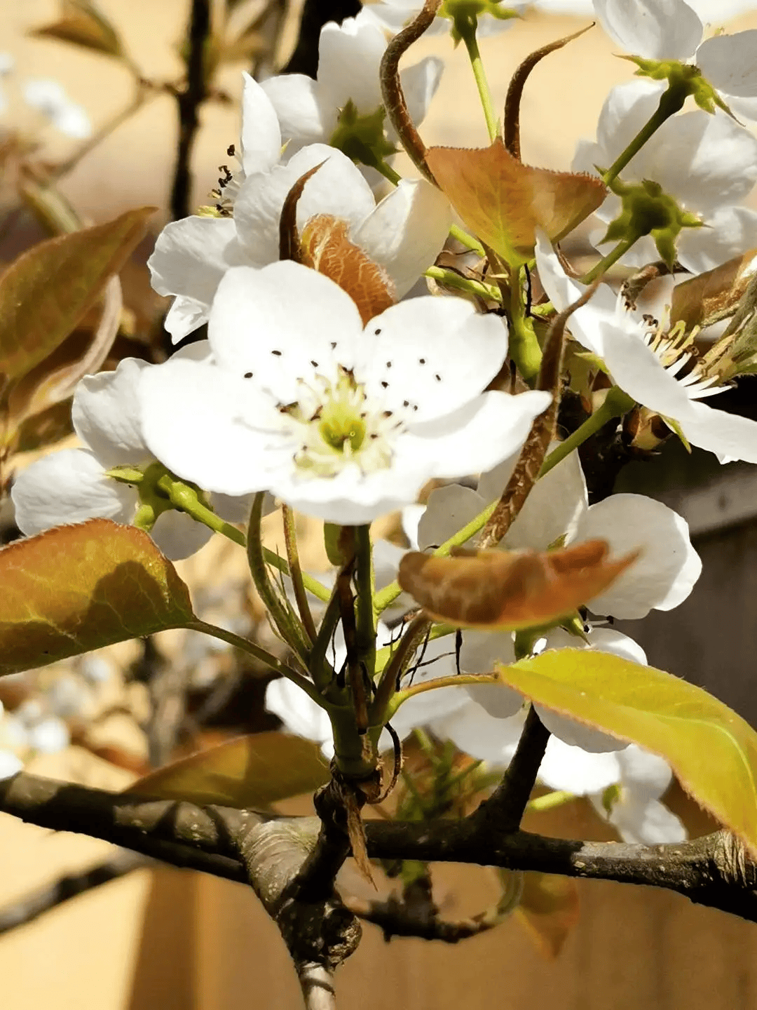 2024川渝自然岩壁八台山攀岩公开赛开始报名