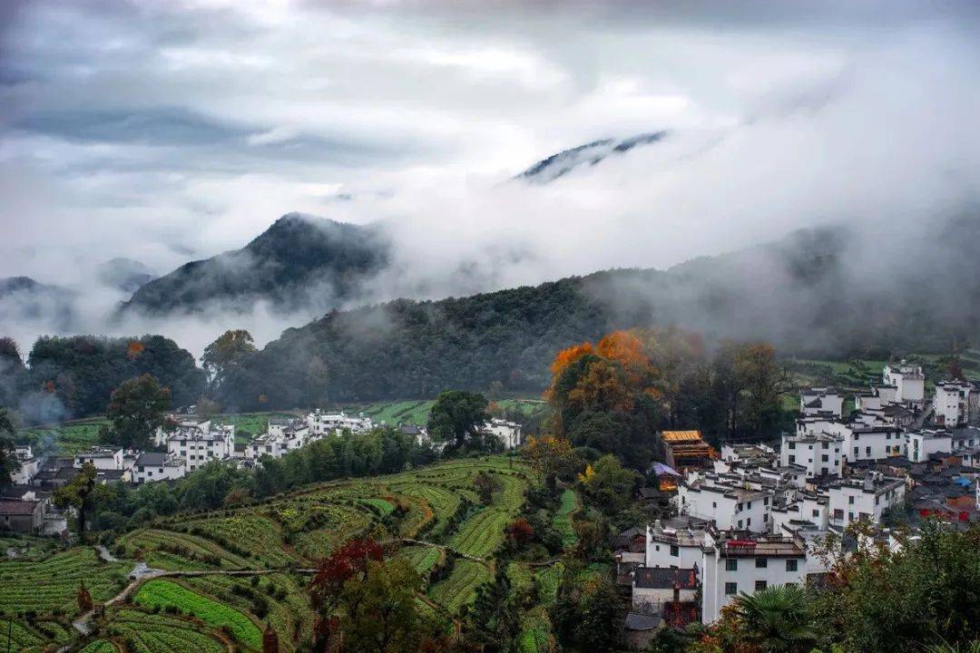 婺源江岭景区油菜花海过后是这样的