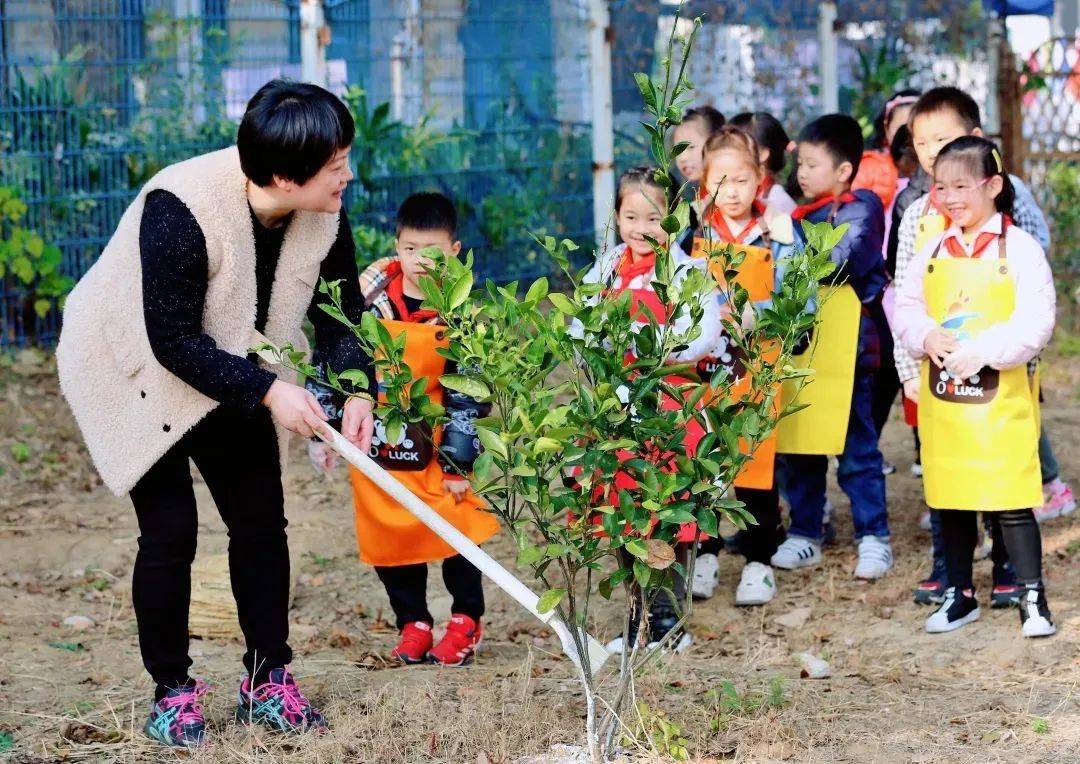 同学们相互合作,劳动教育系列活动,开展手抄报比赛,劳动技能实操大赛