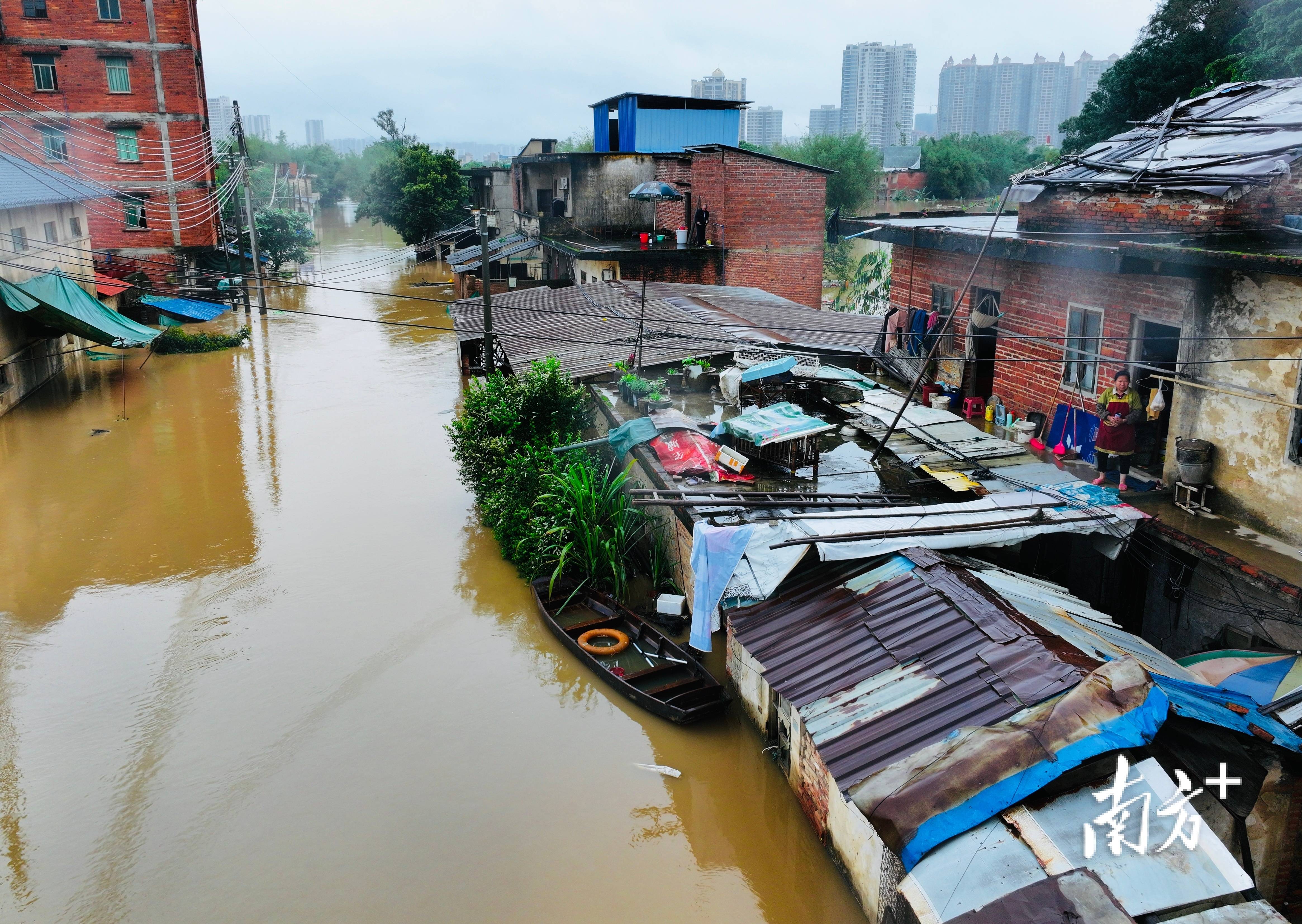 同一天发生两次编号洪水广东全力筑牢防洪保安坚固屏障