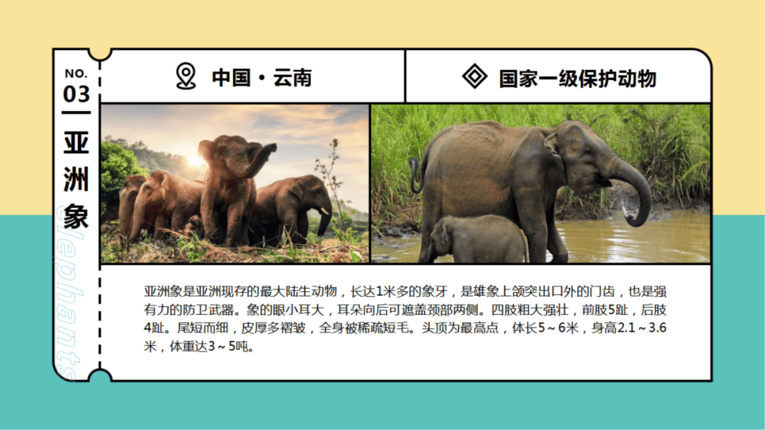 国际珍惜动物保护日珍惜不只是因为珍稀