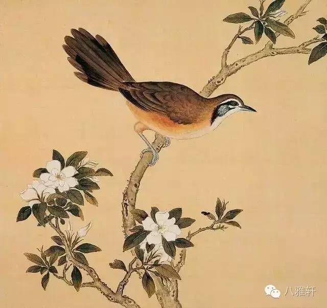 八雅轩丨艺术经典精美绝伦的清宫鸟谱图藏品
