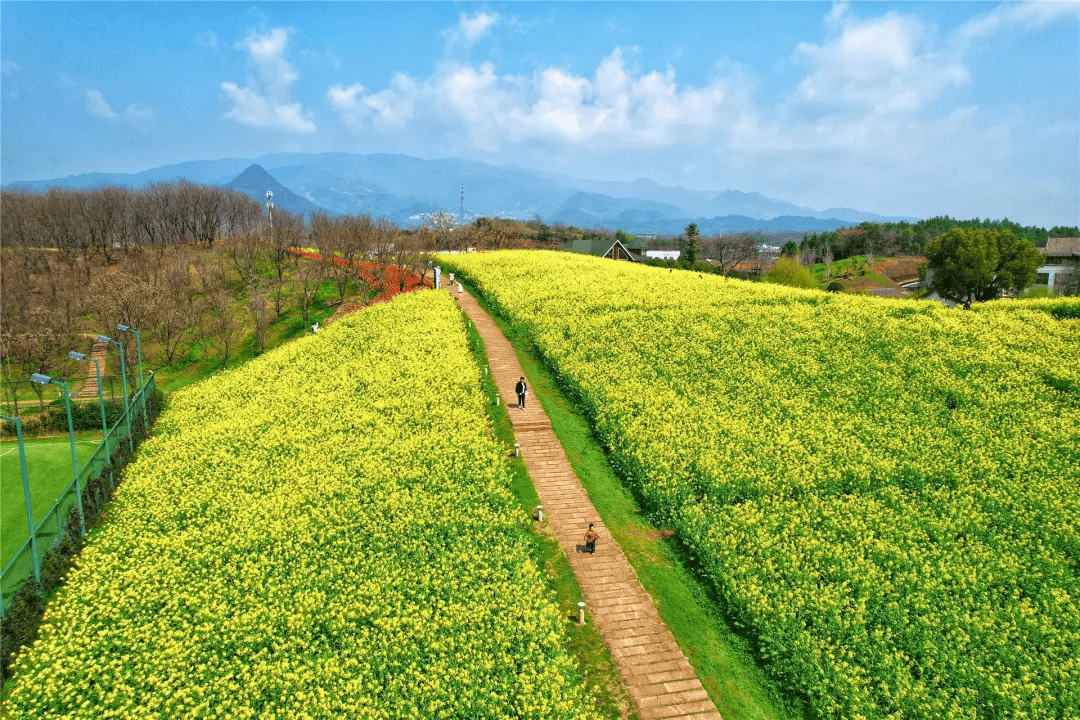 今年首个"龙年龙月龙日龙时"来了 金华人抓紧享受好天气_阵雨_干支_阴