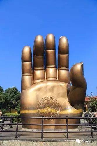算命秘籍_问题_拇指_关节