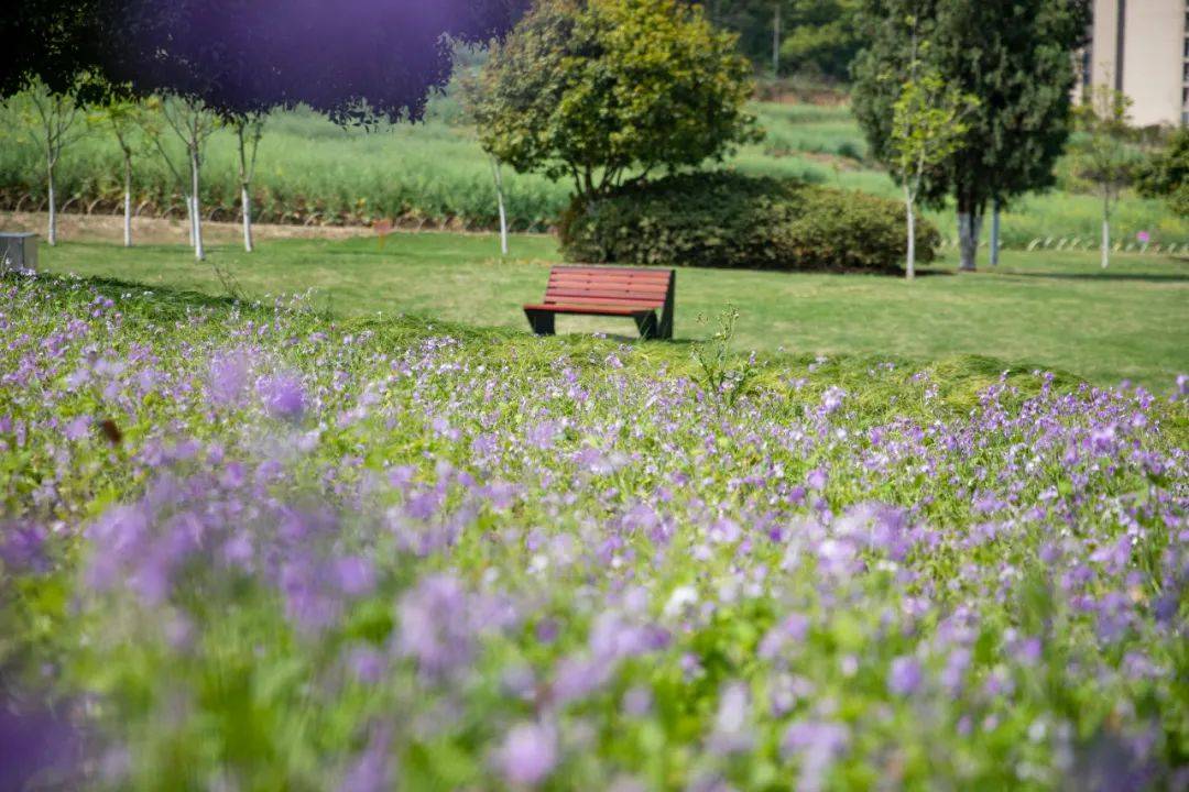 今年首个"龙年龙月龙日龙时"来了 金华人抓紧享受好天气_阵雨_干支_阴