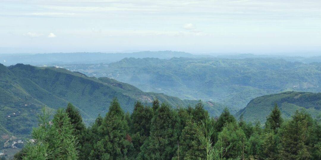 与鸟邂逅29红胁蓝尾鸲大山里的蓝宝石