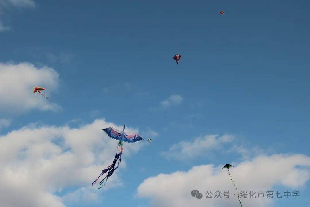 清明寄远忆巧手绘纸鸢丨绥化市第七中学清明节主题活动
