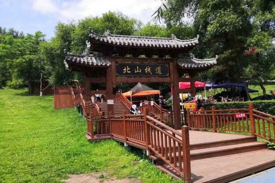美景_北山公园_森林