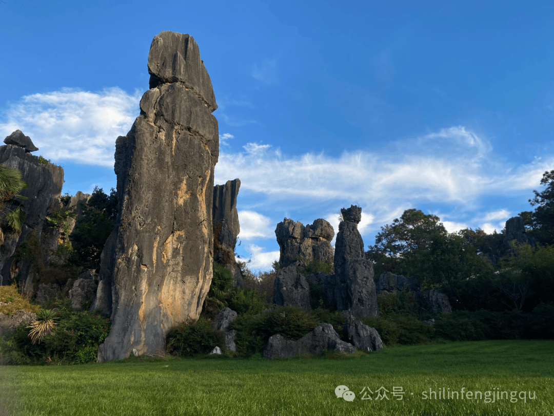 【年分四季】金秋石林,阿诗玛与奇峰异石共舞