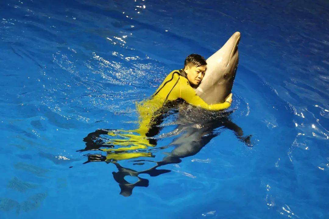 邂逅"海洋精灵",周末双人套票378元(含海豚票)_活动_乐都_动物