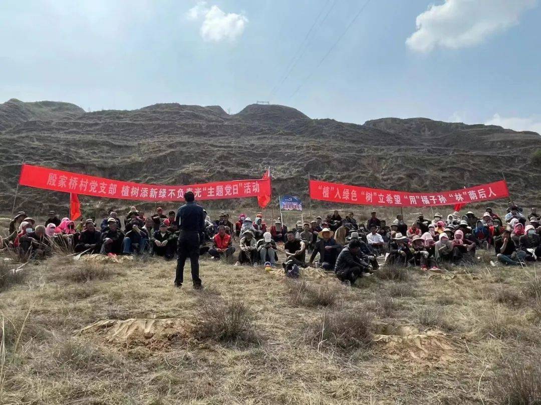 木钵镇各村积极开展义务植树活动