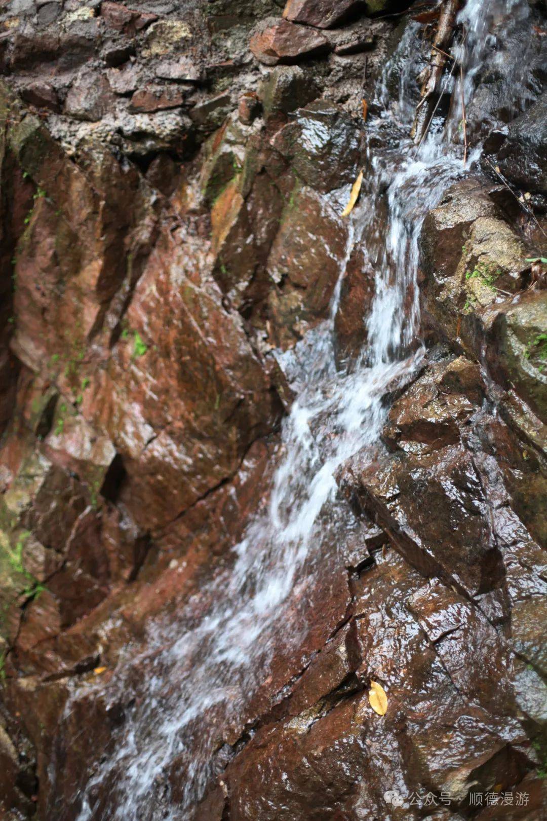 雁山山泉_泉水_西门停车场_自然