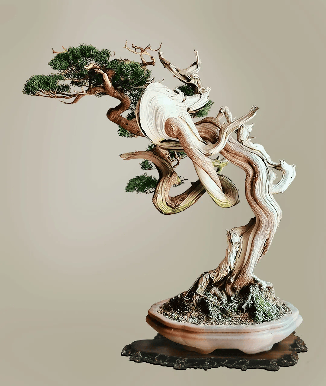 安徽省第五届盆景奇石精品展制作表演嘉宾阵容先睹为快!