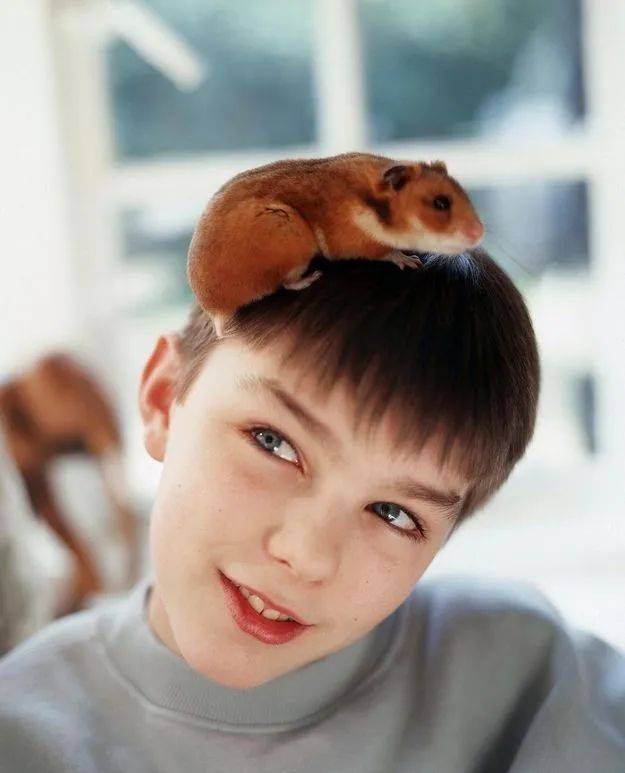 他儿子都5岁了颜值依旧狂飙光头造型帅炸裂不愧是英伦顶级美貌