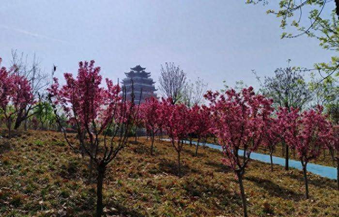 山亭微城管邀您一览不墨山亭幸福小城的无限春光