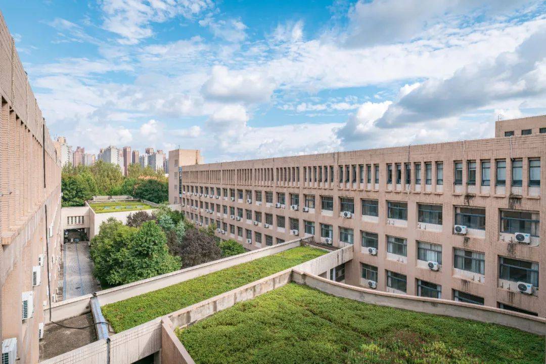 权威发布西北大学2024年高校专项计划招生简章