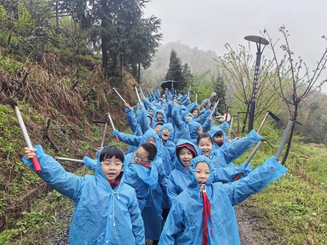校园风采95丨新华小学:"动"享春日·"拾"趣自然