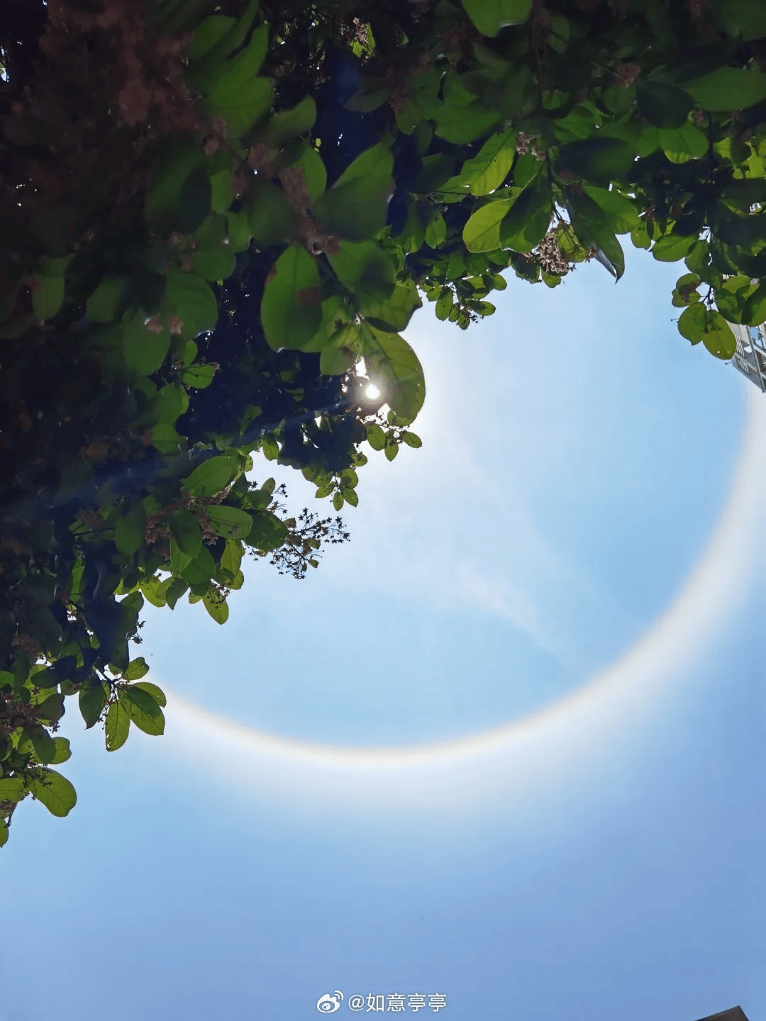 布布布微博@牛奶洒le布布微博@黎城初冷晓红微博@灵感的粉丝微博@墨飞