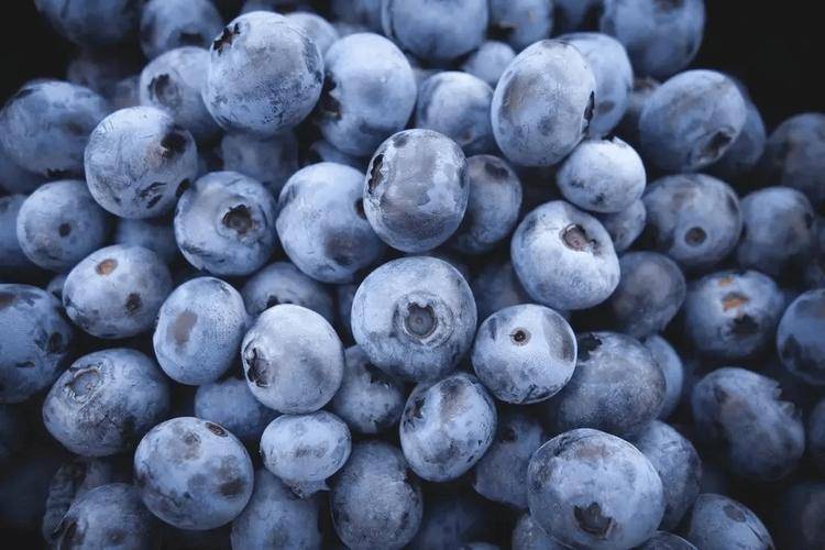 孕期营养的新选择。蓝莓美味又健康。每天适量享用它们，你的宝宝和妈妈都会很开心！_食用_怀孕_纤维