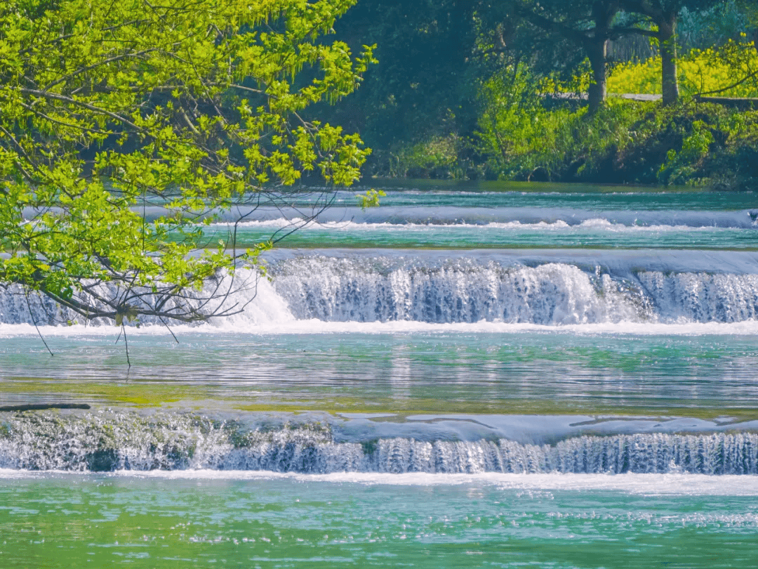 布依三月三唱响多依河春歌节 山歌大赛·打歌热舞._参赛_时间_景区